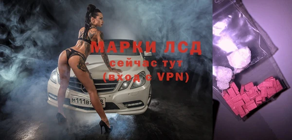 спайс Ладушкин