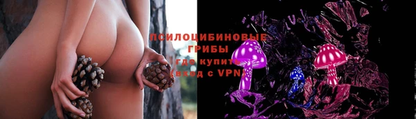 эйфоретик Лабытнанги