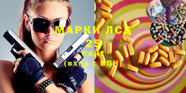 спайс Ладушкин