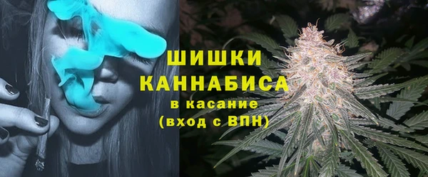 СК Билибино