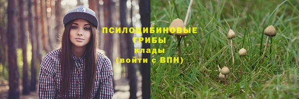 МДМА Лагань